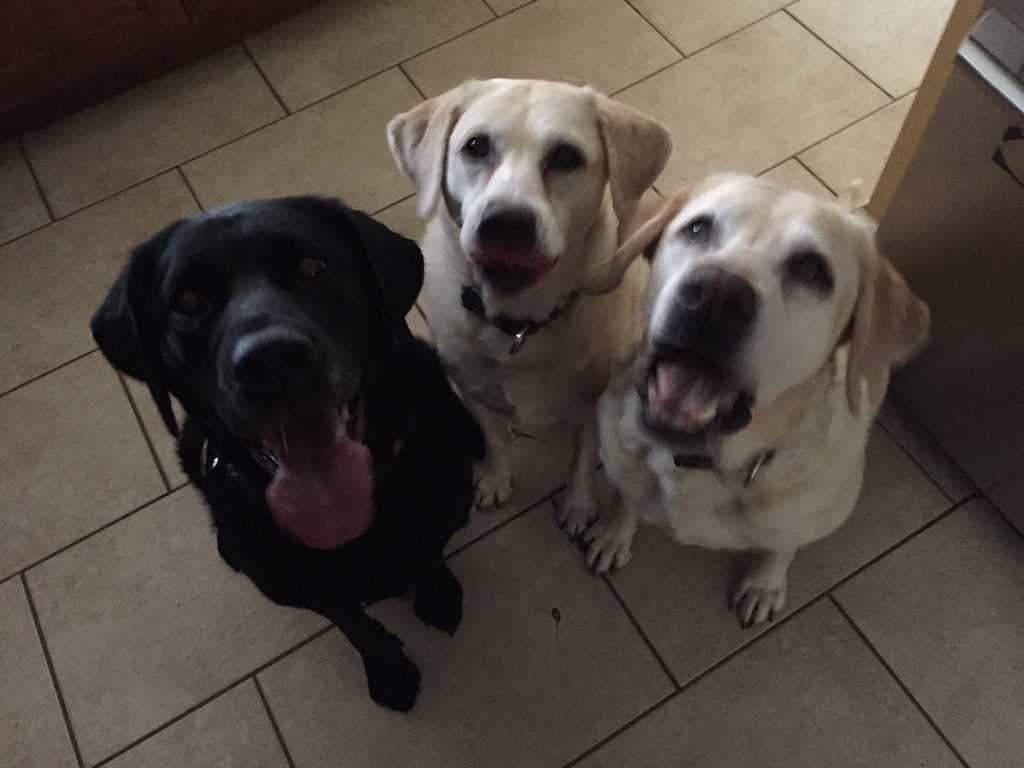 Rudey-Emma-Morgan