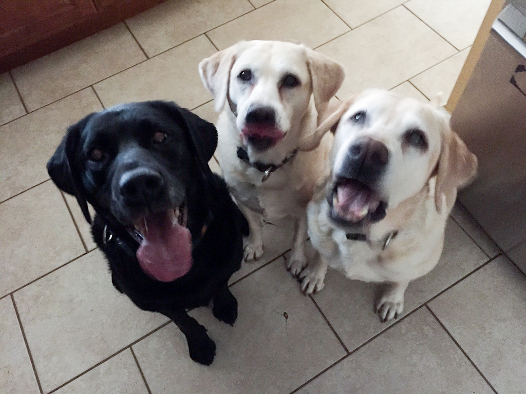 Rudey-Emma-Morgan Rudey-Emma-Morgan