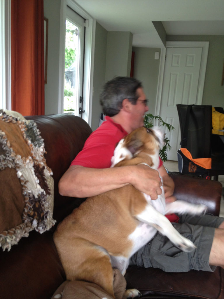 Robert and dog training customer Peaches the English Bulldog