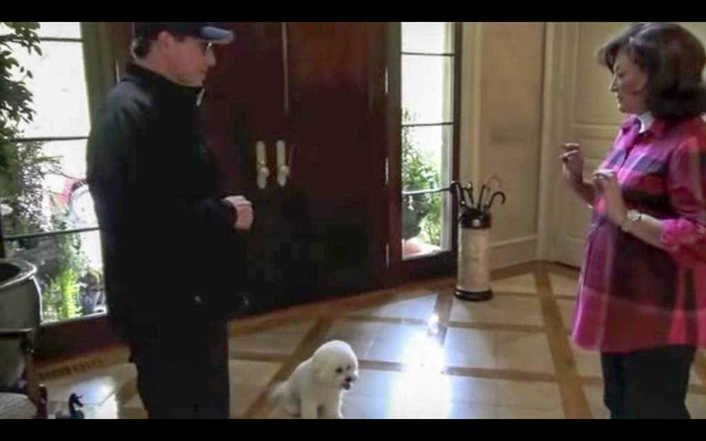 Robert Training With Owner Robert Training With Owner