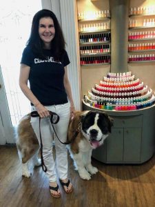 Juliette 2 yr old St Bernard at nail salon with her mom after successful training