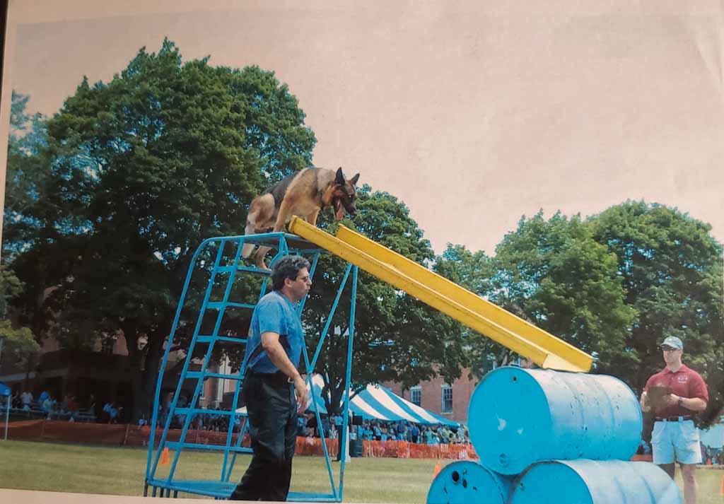 Picture of Robert Kornfeld in K9 Olympics with Friday on a slide