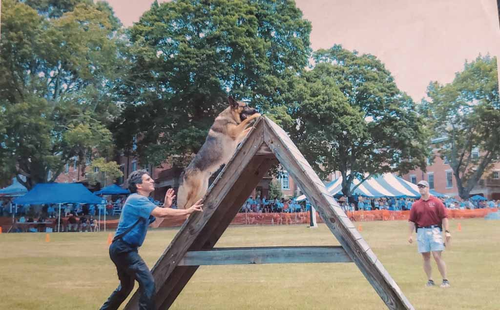 Picture of Robert Kornfeld in K9 Olympics with Friday